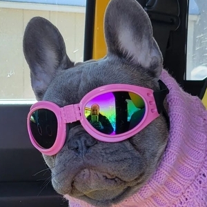 Fundraising Page: Jocelyn Diamond